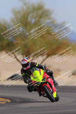 media/Nov-05-2022-SoCal Trackdays (Sat) [[f8d9b725ab]]/Turn 4 Tree of Life (125pm)/